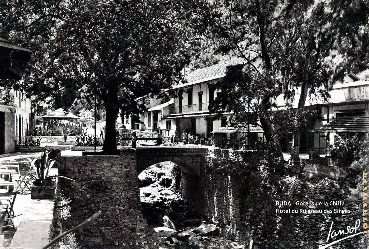 Blida - Gorges de la Chiffa - Hotel Ruisseau des Singes.jpg